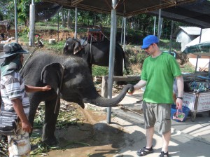 Ed & Elephant