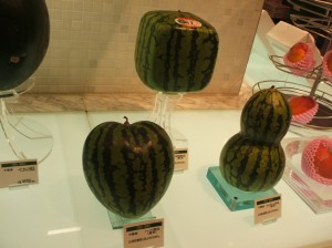 英会話大津校 Really Fancy and Expensive Watermelon, Shinjuku Tokyo